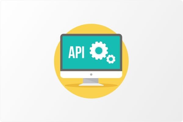 API Module